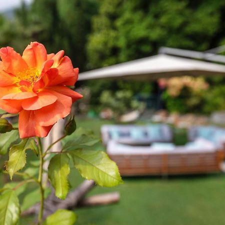 Parkhotel Brenscino Brissago Dış mekan fotoğraf